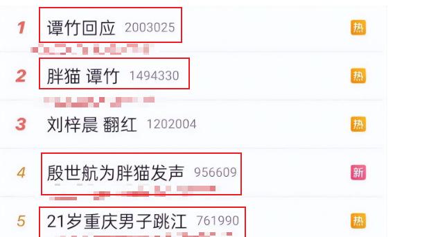 电竞圈爱情悲剧，“胖猫与谭竹”爱情故事引发轰动，网友们纷纷展示关爱之心