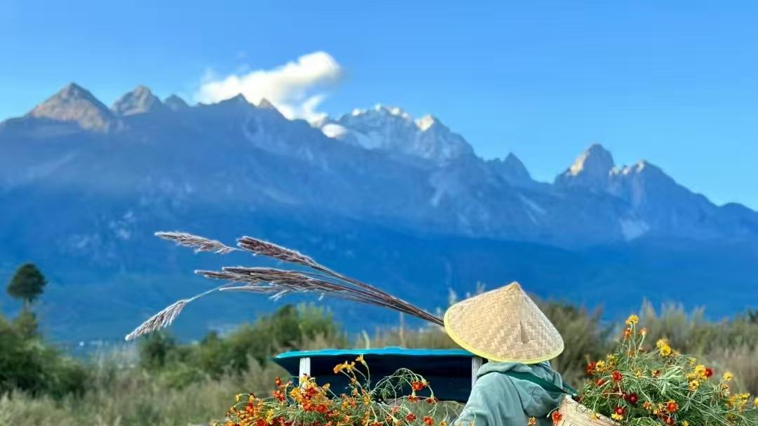 该来的人在路上