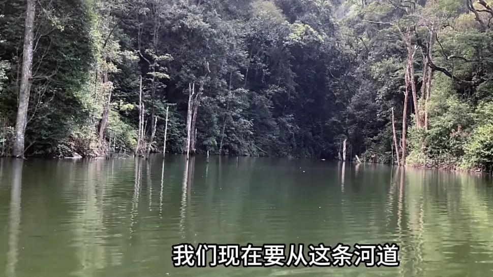 哀牢山到底有多恐怖？吃人热搜该停了