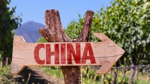 有幸去了趟吐鲁番，说些大实话，吐鲁番人的生活，让我大开眼界