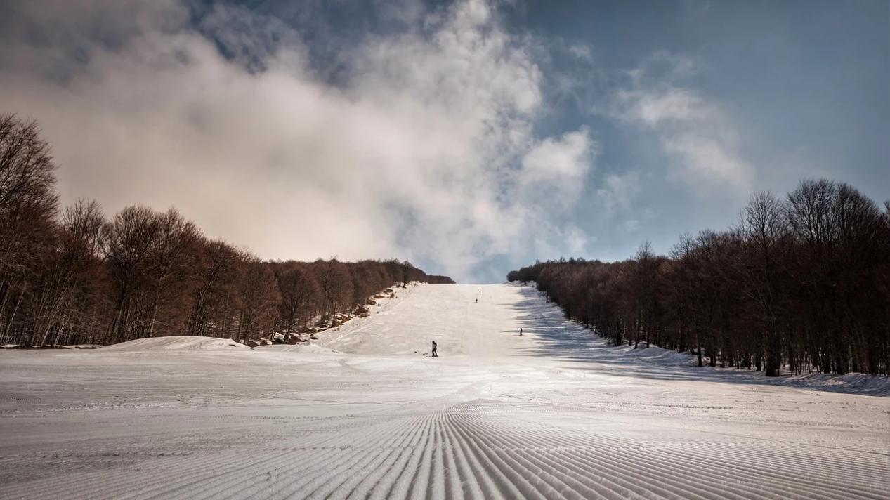 高考作文：感恩是我心中最温暖的力量，它如同阳光，驱散阴霾