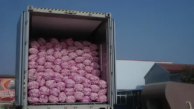 美国连大蒜也不放过，美议员指控：大蒜构成“国家安全”威胁