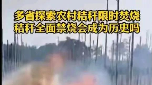 农民生存还是环境保护？焚烧秸秆禁令的两难选择