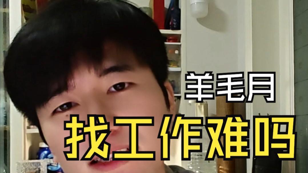 羊毛月吐槽求职大学生翻车，道歉至今掉粉百万，跌落的比想象更快