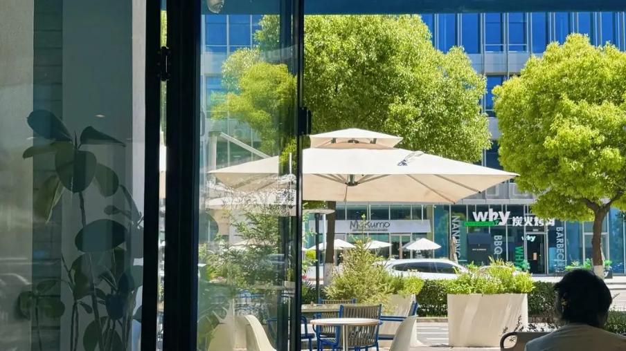 情感的双刃剑：为何过强的共情能力可能导致心灵的冷漠？