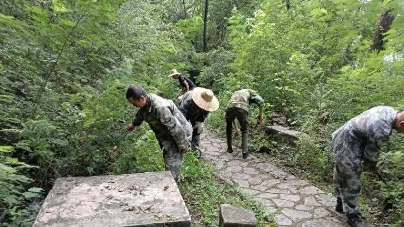 盛夏柳州市区公园野生动物和虫类逐渐增多，他们撒硫磺粉预防