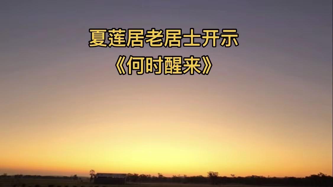 《何时醒来》
