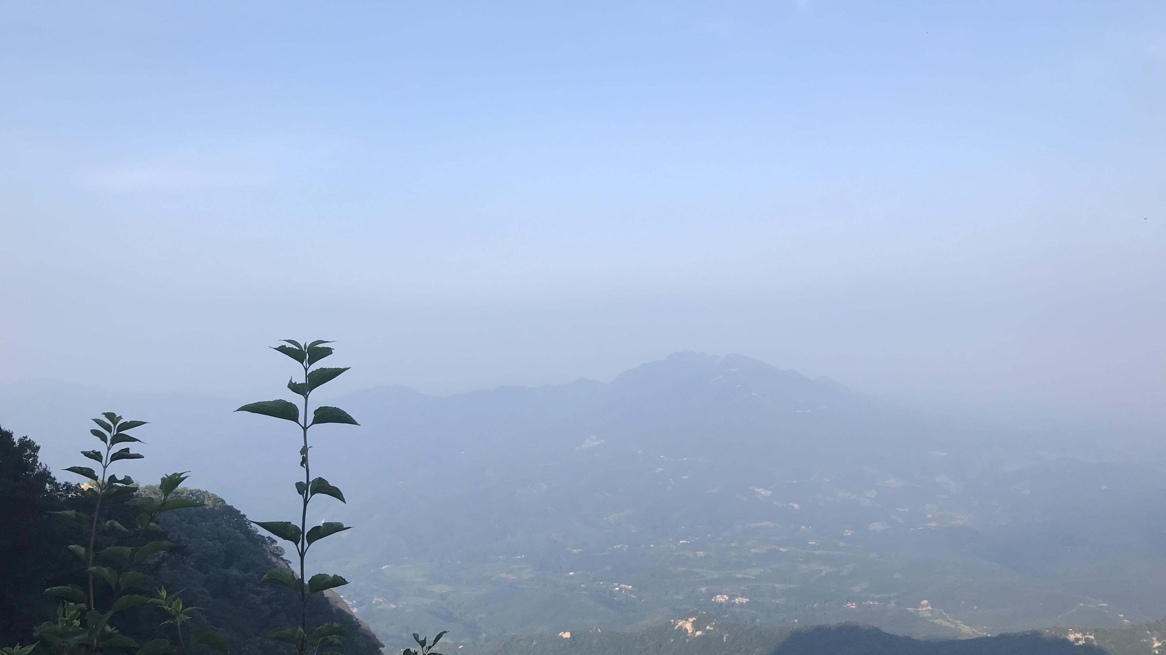 为什么现在的人戾气很大：探究当代社会人们情绪波动的原因