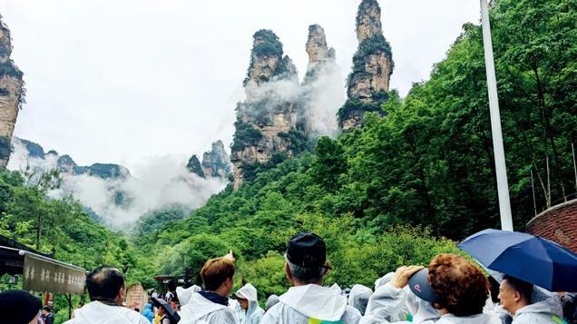 忙翻了！最近的上海，突然挤满了特种兵旅行的韩国人