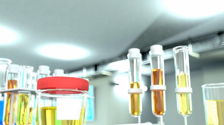 吃对油脂能受益！研究新发现：这种油或延长寿命，降低死亡风险