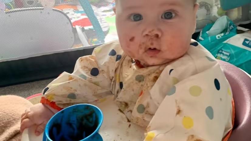 早说话的宝宝更聪明？Why？