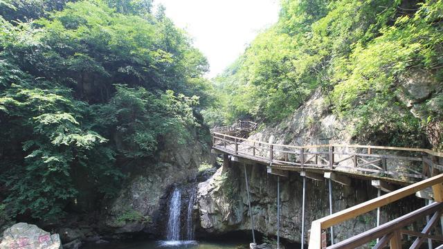 情归西九华山，观赏中原地区茶、竹、禅为一体的生态旅游胜地