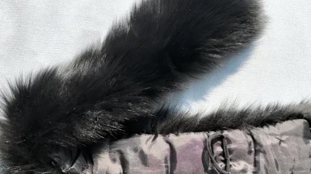 衣服旧毛领别扔！学会改造妙招“变废为宝”，家里人都抢着用！