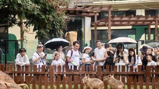 全新升级改造！大连森林动物园小动物村正式开放