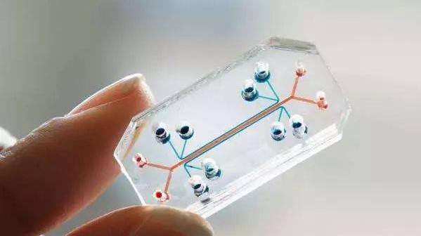 达安科普：分子诊断技术的前沿者——生物芯片技术原理解析