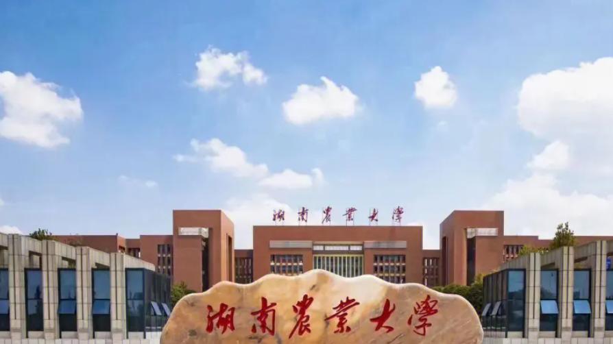 湖南农业大学2023就业数据，升学2005，灵活就业1657，待就业950