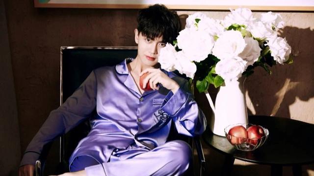 睡姿也帅气的男明星，任嘉伦丁禹兮刘宇宁徐海乔，谁让你想入非非