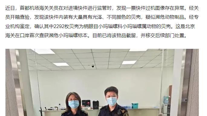 北京海关在口岸首次查获濒危小玛瑙螺标本，系国家一级保护动物