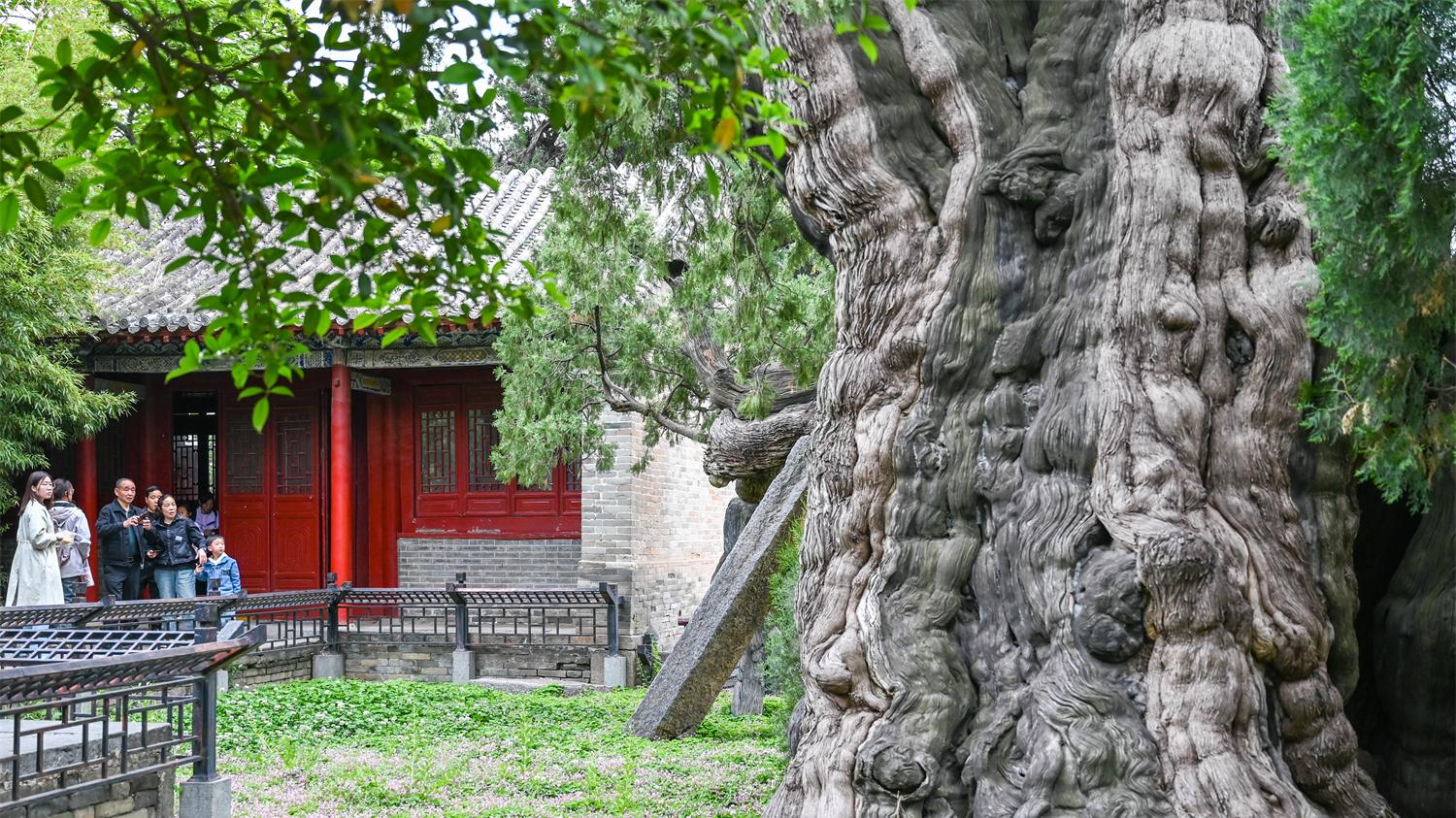 嵩阳书院，北宋的清华北大，师生享誉北宋文坛政坛