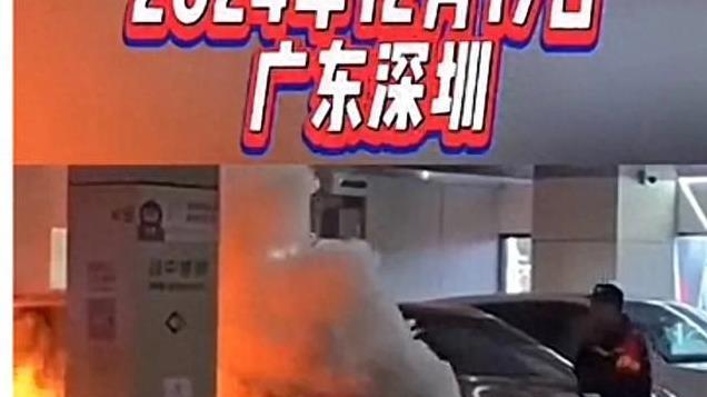 闹大了！长城电车车库起火，保安救火喊支援，网友：旁边的遭殃了