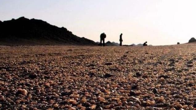 内蒙古干涸湖布满“五彩石”，无人识货遭疯狂捡拾，3年损失20亿