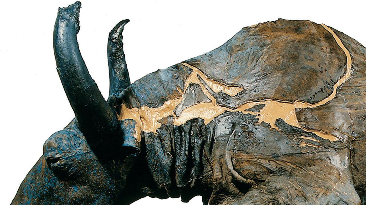 那场上演五万年前野牛炖肉的晚宴