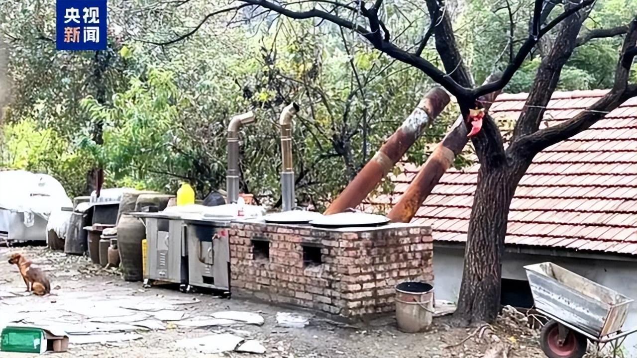 疯狂小杨哥、东北雨姐人设崩塌连累城市品牌，直播之城的背后隐忧