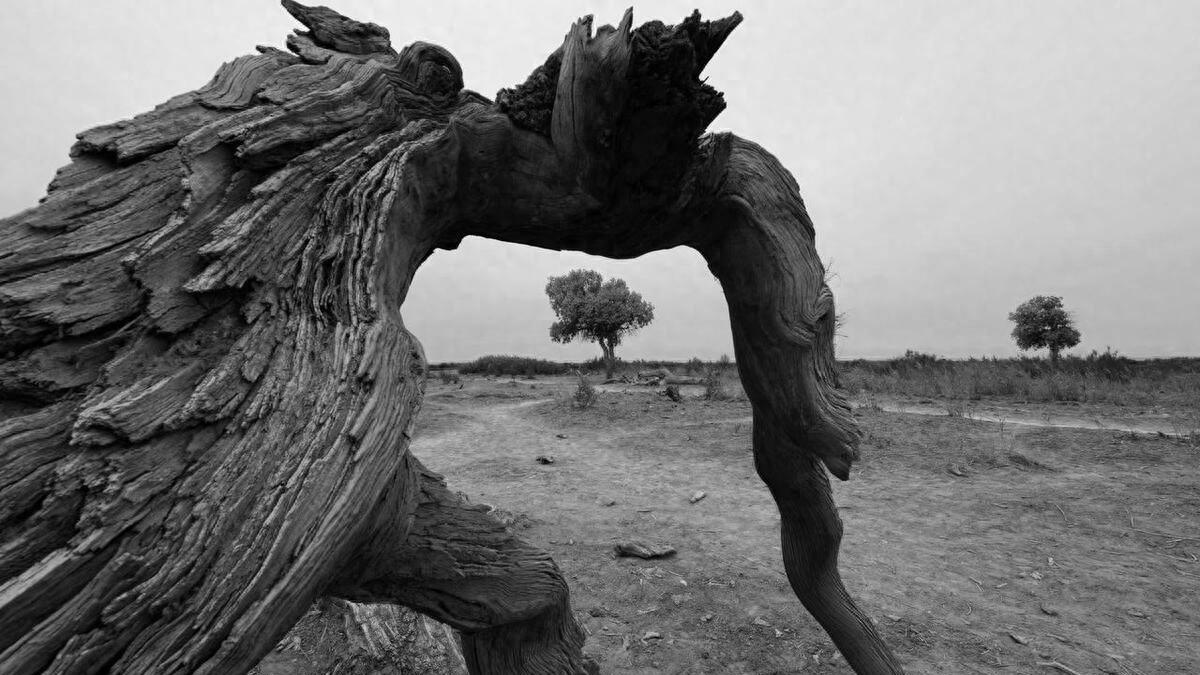 不管多爱，婚外情的结局，十之八九是这样的