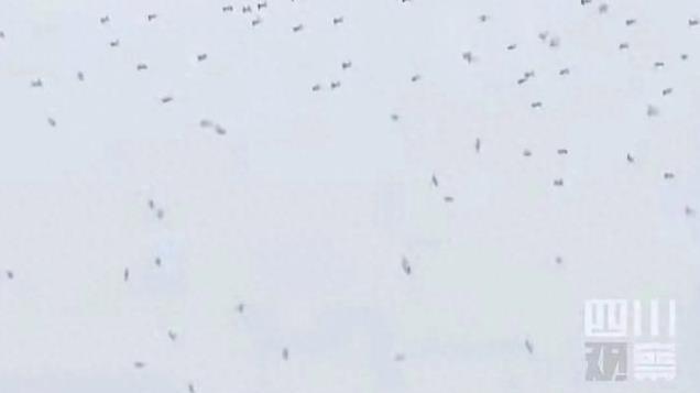 损失惨重！蔡国强泉州烟花秀无人机下雨式坠落，多位明星现场目睹