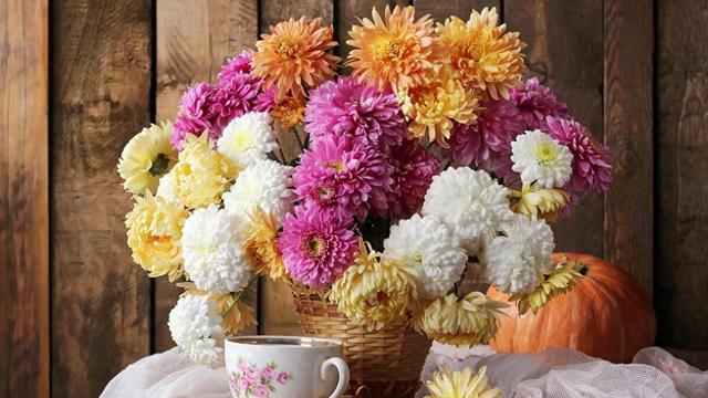 不打破舒适圈，永远是止步不前