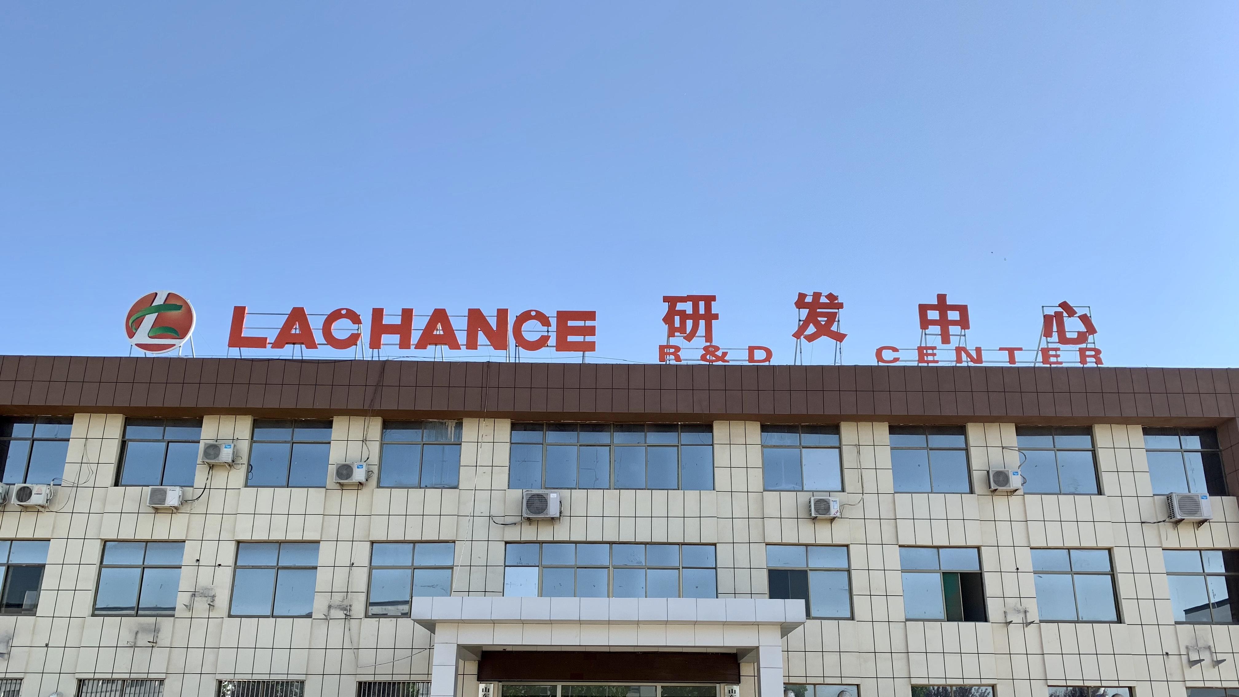 超详细猫咪脂肪肝攻略！