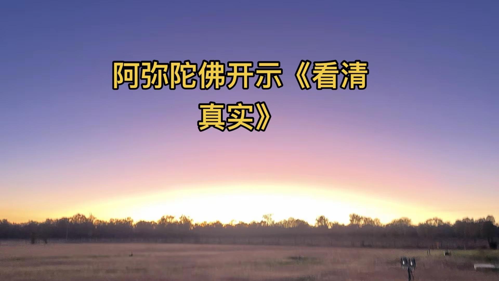 《看清真实》