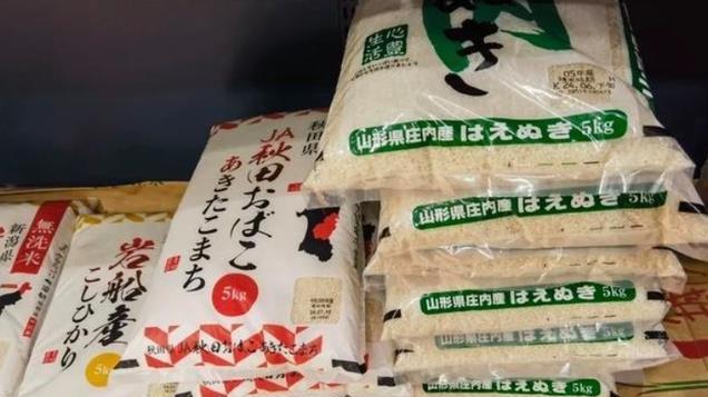 米价暴涨，一斤合9元人民币，日本大米为何“买不着”“吃不起”