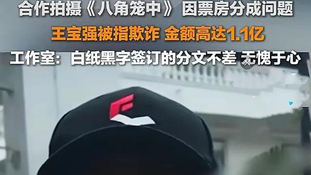 王宝强被举报涉嫌诈骗：事件来龙去脉及影响分析