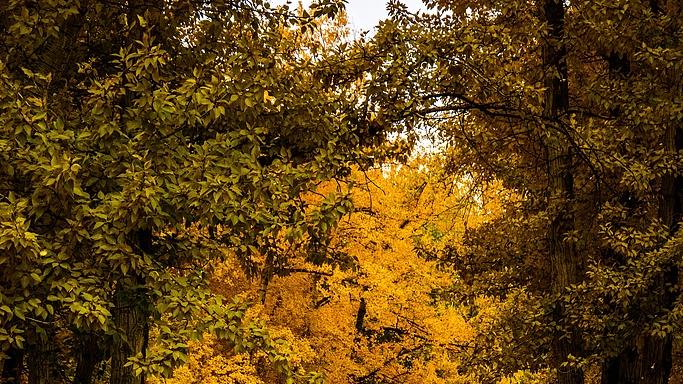 第2课：投资的沃土在哪里？