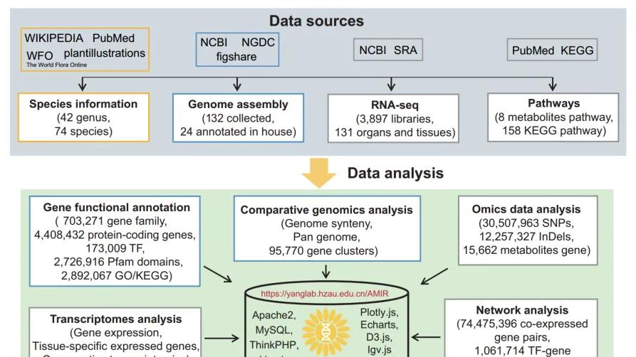 数据库分享 | AMIR: 菊科植物最新遗传育种多组学数据库