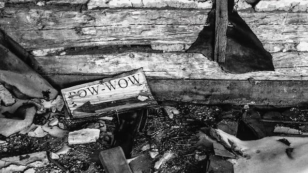 切尔诺贝利附近的狗已变异！日本仍在排放核污染水，危害有多大？