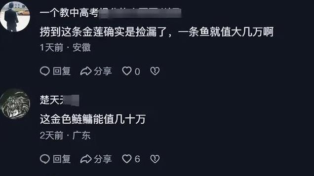 男子花10万包鱼塘，意外捞到“黄袍加身”花鲢！一条鱼就能回本？