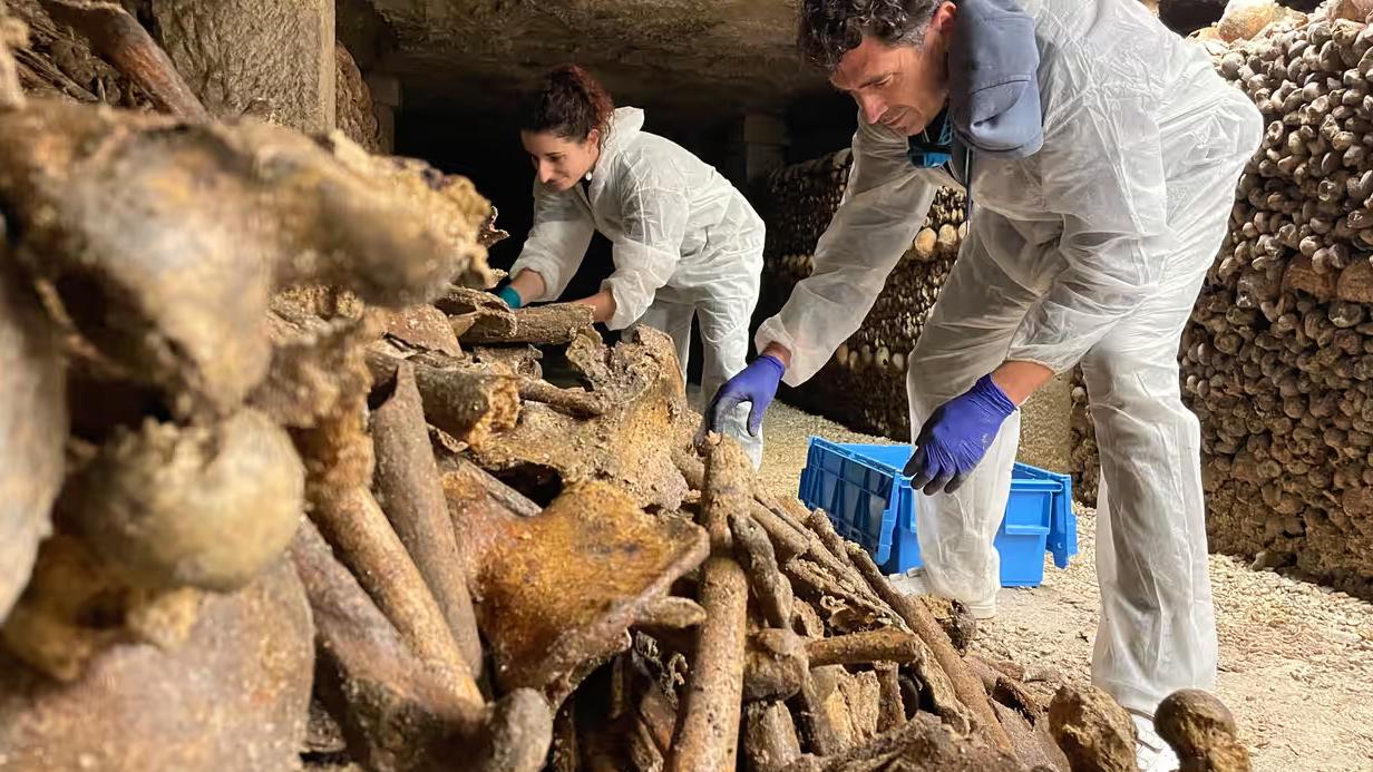 “尸体被抛入采石场的深井”：巴黎地下墓穴数百万人的秘密浮现