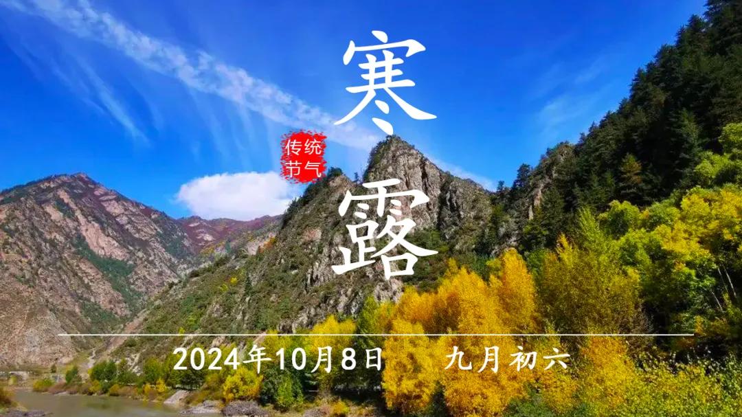 寒露至，秋意浓！