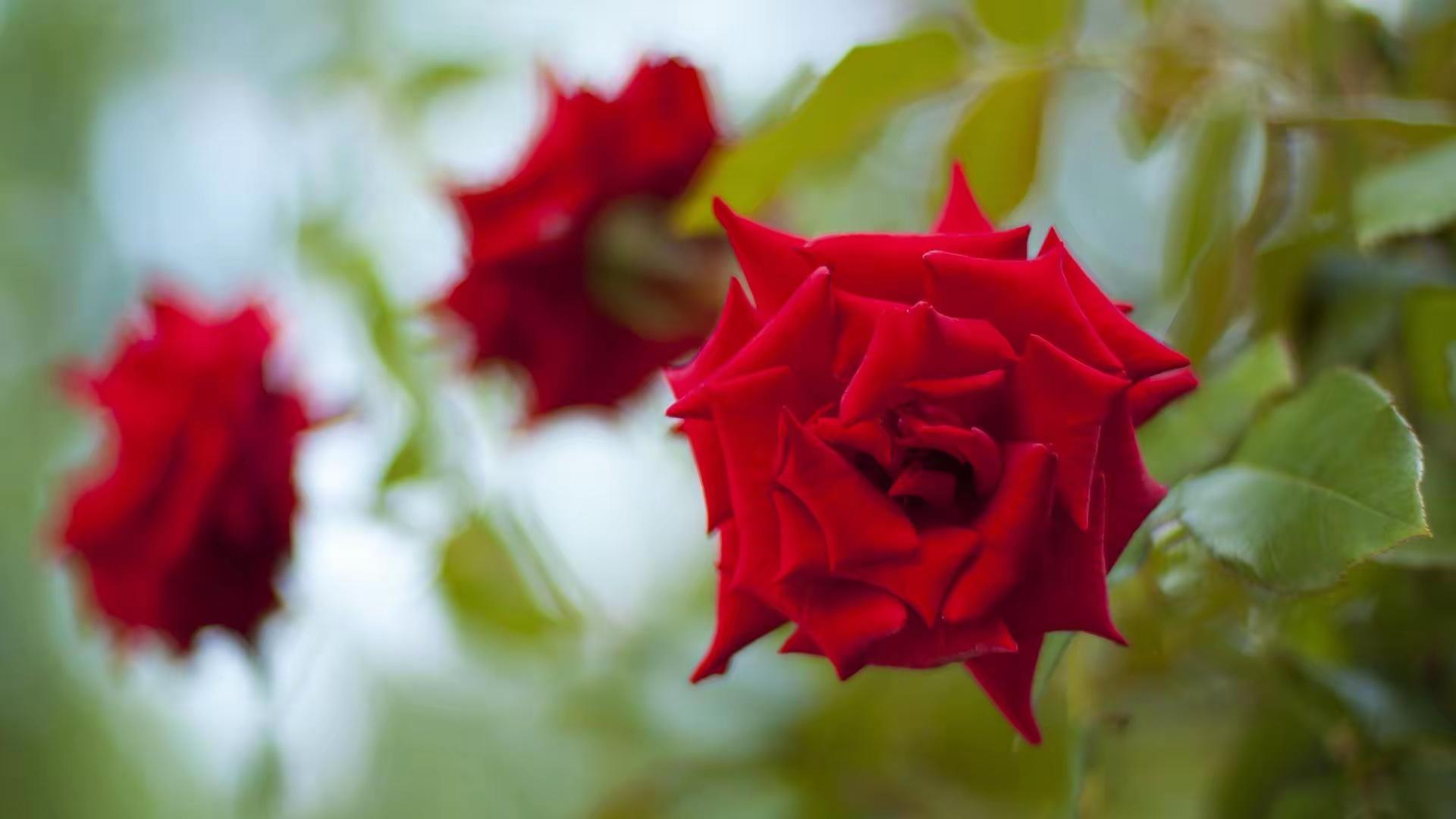 真正聪明的女人对待男人的态度：六个字的幸福秘诀