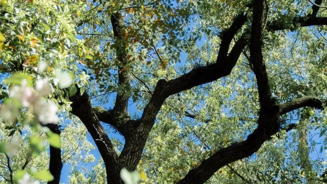 让你在人群中脱颖而出越来越有气场的16个好习惯