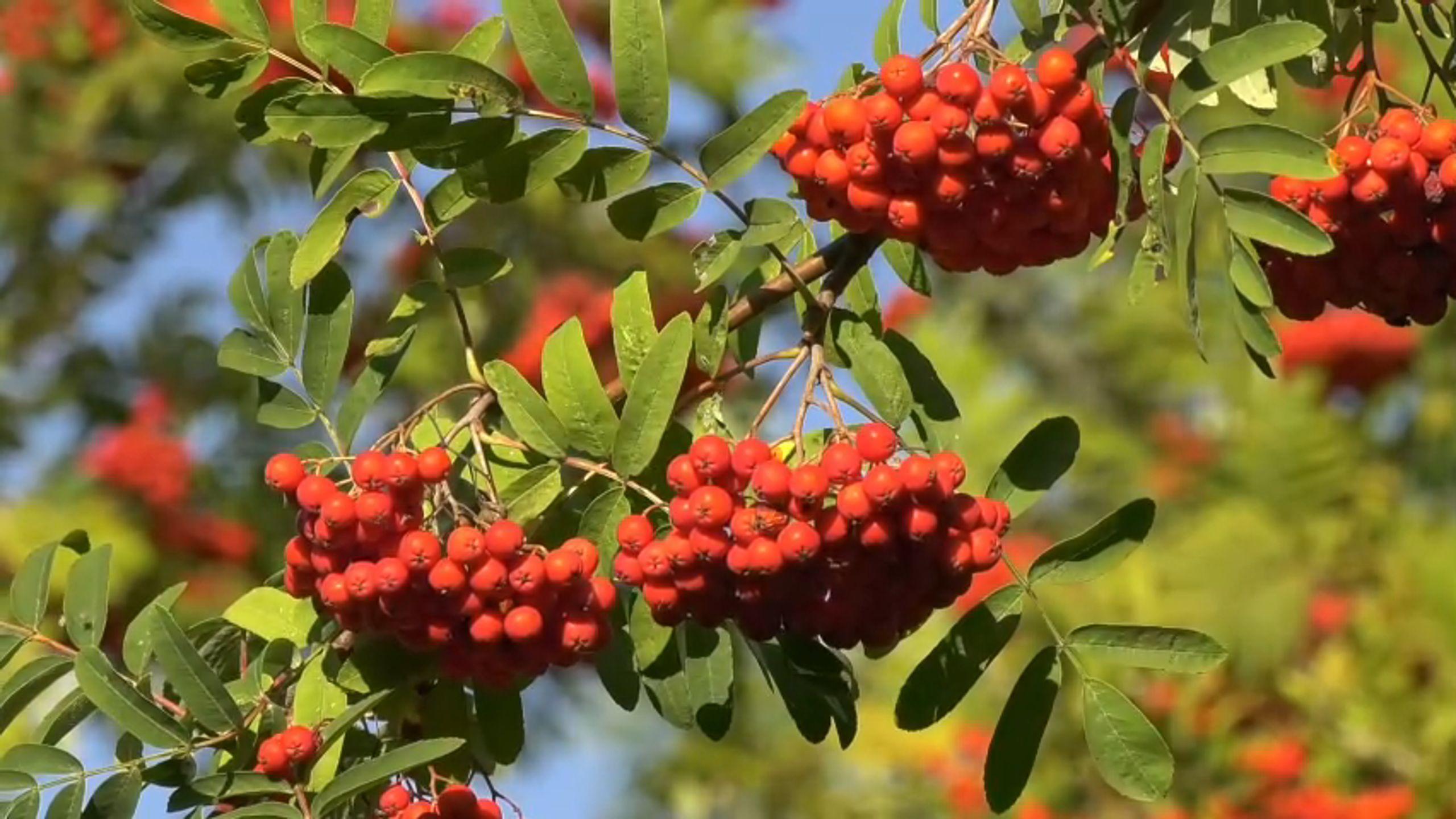 早安！活力满满，共绘美好记忆画卷