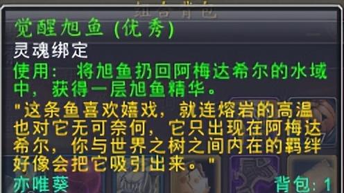 魔兽世界正式服20分钟拿到德鲁伊锦鲤形态