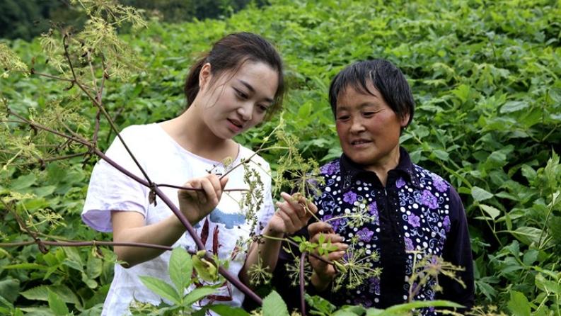 江西拟提拔3名95后女干部，均为在职大专学历，研究生表示破防