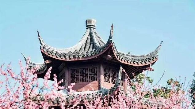 门票免费！高铁直达！江南第一古镇，拥有1300多年历史，美如仙境