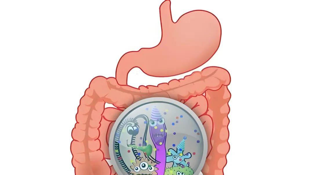 健康知识分享 | 测试一下，你的肠道健康吗？