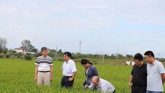 深谈｜自力更生，强我种业：万建民院士解读中国种子自立自强之路