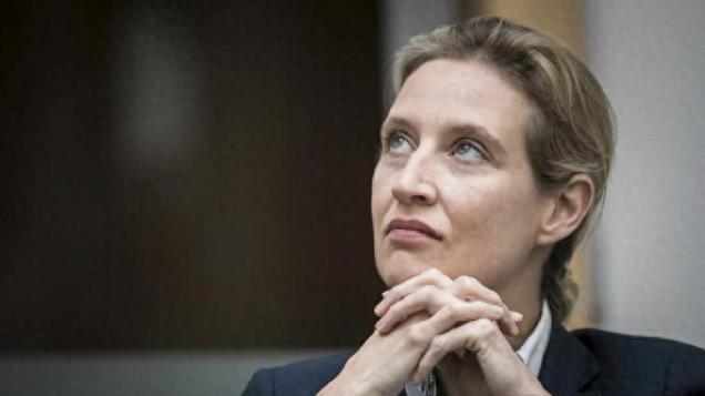 德国选择党支持率上升，魏德尔获马斯克力挺，朔尔茨进入倒计时