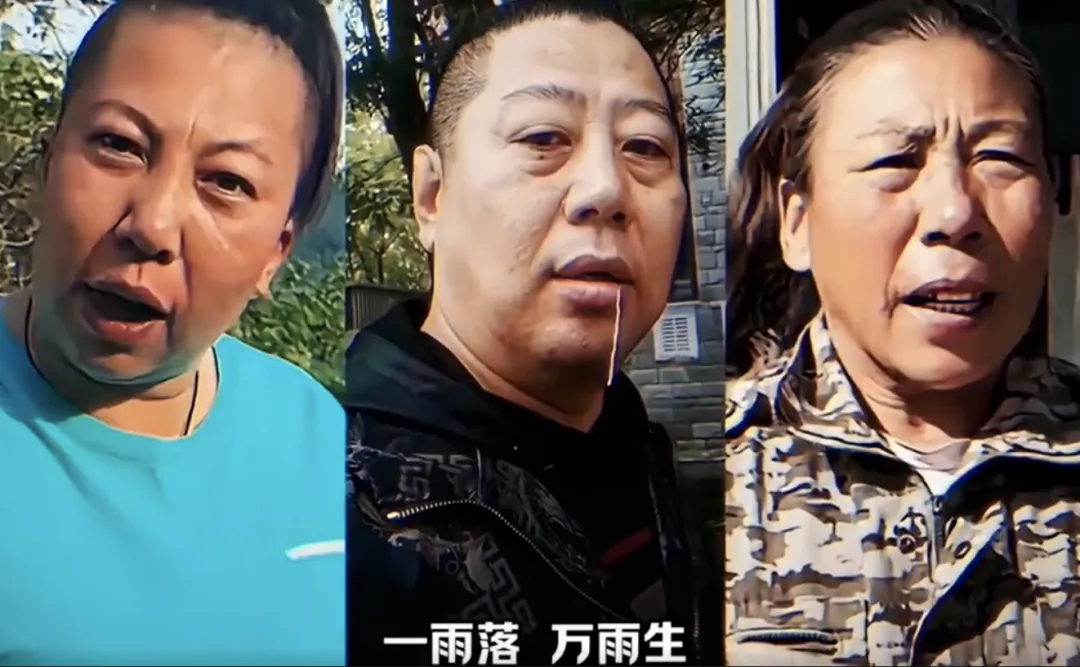 东北雨姐塌房了，但「东北雨宙」诞生了！！！